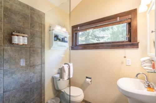 a bathroom with a toilet and a sink at Manitou Lodge 5 Hotel Room in Telluride