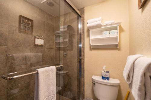a bathroom with a toilet and a glass shower at Manitou Lodge 8 Hotel Room in Telluride