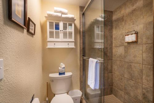 a bathroom with a toilet and a glass shower at Manitou Lodge 11 Hotel Room in Telluride