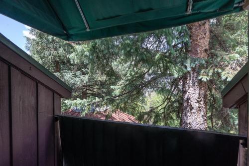 a large tree in front of a fence at Manitou Lodge 11 Hotel Room in Telluride