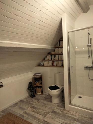 uma casa de banho com WC num sótão em Chambre Telma 2 personnes avec piscine "Mon lit au pré" em Pontours