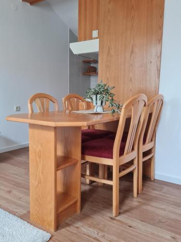 Gallery image of Apartment Moravske Toplice in Moravske Toplice