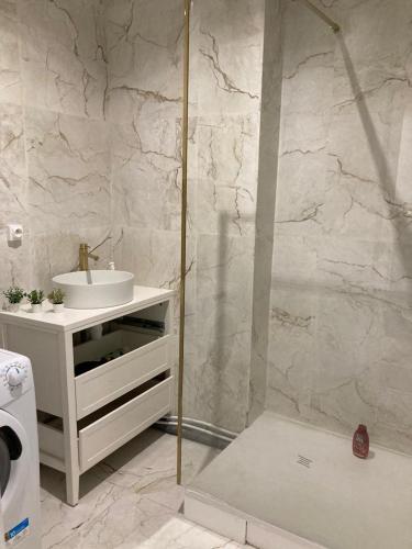 une salle de bain blanche avec un lavabo et une douche dans l'établissement Cosy appartement in Paris, à Paris