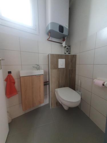 un piccolo bagno con un water e un lavandino di Appartement cosy a Lourdes