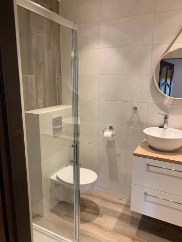 uma casa de banho com um chuveiro, um WC e um lavatório. em Apartamenty Villa Akant em Piechowice