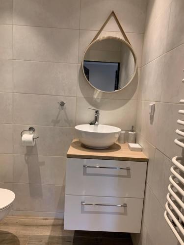 a bathroom with a sink and a mirror at Apartamenty Villa Akant in Piechowice