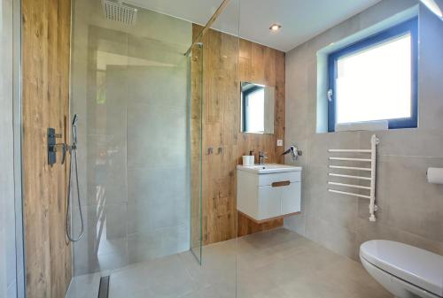 a bathroom with a shower and a toilet and a sink at Szczytowisko in Grywałd