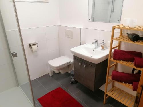 een badkamer met een wastafel, een toilet en een spiegel bij Ferienwohnung Ulrike in Sankt Anton im Montafon