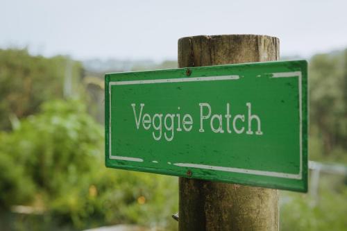 a green street sign on a wooden pole at Blackwattle Farm in Beerwah
