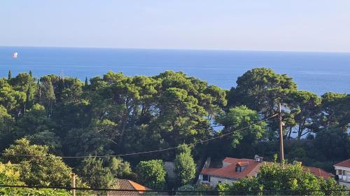 - Vistas a una colina con árboles y al océano en Apartment Solvit, en Dubrovnik