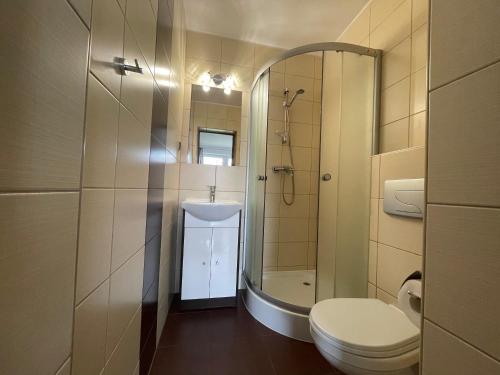 La salle de bains est pourvue de toilettes, d'un lavabo et d'un miroir. dans l'établissement Willa Filip, à Władysławowo