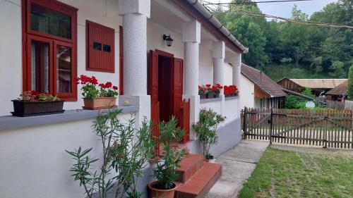 Casa blanca con puertas rojas y macetas en Karádi Vendégház en Háromhuta