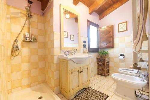 uma casa de banho com um lavatório e um WC em Suggestivo Loft in Centro em Milis
