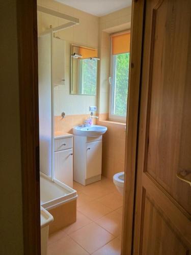 a bathroom with a sink and a toilet and a tub at Ignaszówka 123 in Radawa