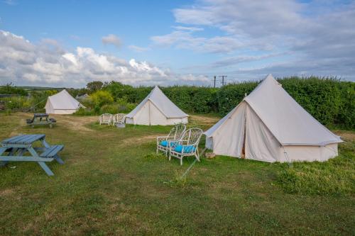 a group of tents in a field with a picnic table at The Paddock Wildcamp in Perranporth