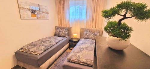 sala de estar con sofá y mesa con una planta en Stilvolle moderne 3-Zimmerwohnung, en Graz