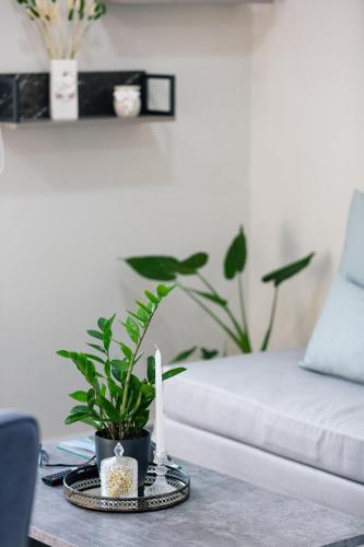 a living room with a table with a plant and a couch at Estia Comfort House in Chania