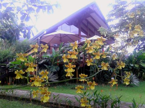 a house with a bunch of flowers in front of it at Tenorio Lodge in Bijagua