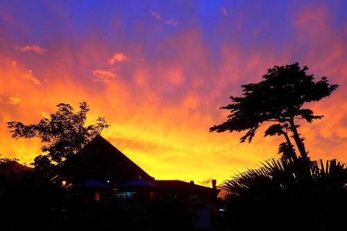 a sunset with a tree and a building and a tree at Tenorio Lodge in Bijagua
