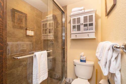 a bathroom with a shower and a toilet at Manitou Lodge 10 Hotel Room in Telluride