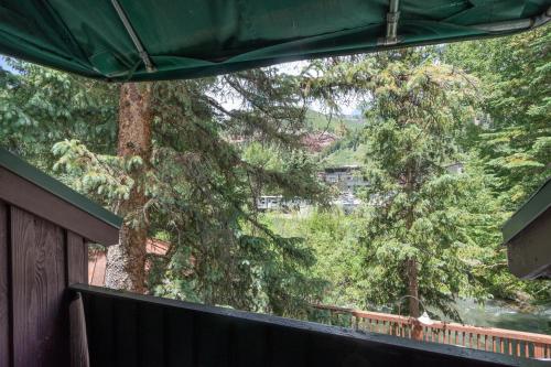 特柳賴德的住宿－Manitou Lodge 10 Hotel Room，从树木繁茂的房屋阳台欣赏风景