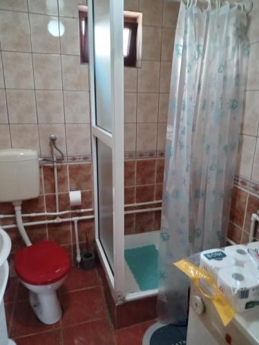 ミトロバツにあるPlaninska Kuća Dušanのトイレとシャワー付きのバスルーム