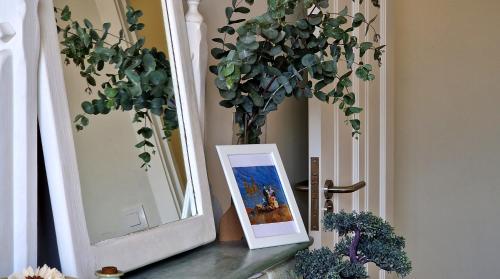a table with a picture and a mirror and a plant at Soleado a un Paseo de la Catedral in Santiago de Compostela