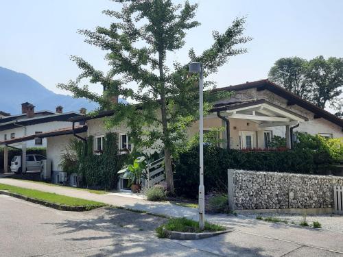 ein Haus mit einem Baum vor einem Straßenlicht in der Unterkunft Hiša odprtih vrat in Tolmin