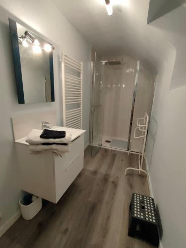 une salle de bain avec une douche, un lavabo et un miroir dans l'établissement Gîtes de Keravy Vannes, à Vannes