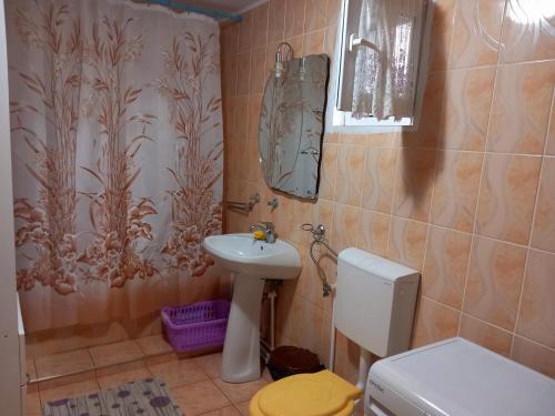ein Badezimmer mit einem Waschbecken, einem WC und einem Spiegel in der Unterkunft Casa Simerea in Mălini