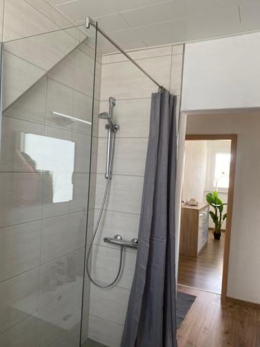 梅德巴赫的住宿－Ferienwohnung Krämershagen，浴室里设有玻璃门淋浴