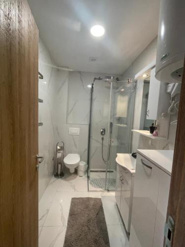 a white bathroom with a shower and a toilet at Apartman 21 Vila Elsa III Zlatibor in Zlatibor