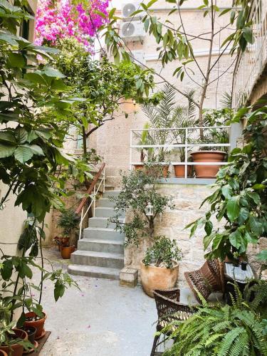 a garden with a bunch of potted plants and stairs at Zamaria Apartments in Vis