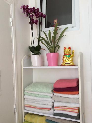 un estante con toallas y macetas. en Rose en Villejuif