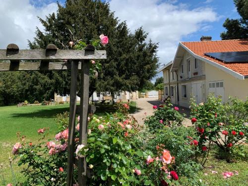 un jardín con rosas y una casa en Bâtisse en pierre XVII siècle 115 M² avec terrasse, en Ambarès-et-Lagrave