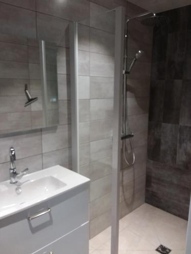 een badkamer met een douche, een wastafel en een douche bij Gite Varagnac in Saint-Cyr-les-Champagnes