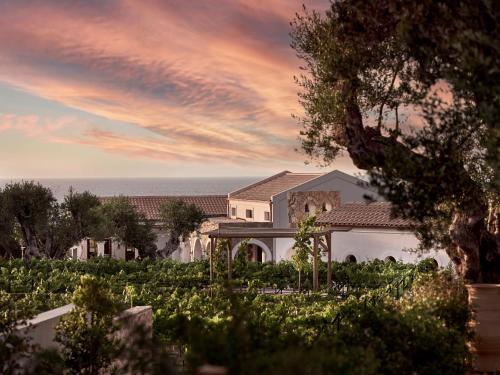 a house with a vineyard in front of a sunset at Lesante Cape Resort & Villas - The Leading Hotels of the World in Akrotiri