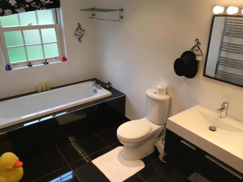 a bathroom with a tub and a toilet and a sink at The Rocks B&B in Crumlin