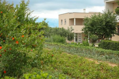 Apartmani Toni – Photos 3