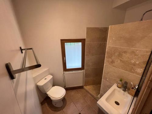 a bathroom with a toilet and a sink at Appartement au coeur du village in Pernes-les-Fontaines