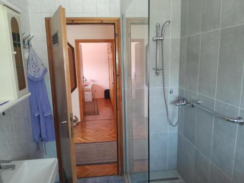 uma casa de banho com um chuveiro e uma porta de vidro em Apartman Majda em Lepoglava