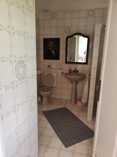 une salle de bain avec toilettes, lavabo et miroir dans l'établissement maison de campagne, à Reignier-Ésery