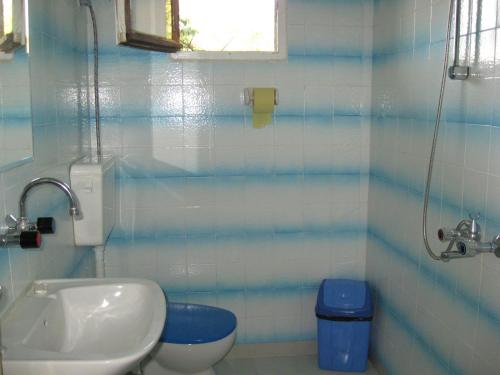 a bathroom with a toilet and a sink at Elefterova kashta in Arbanasi