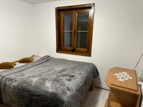 a bedroom with a bed with a window and a table at Cristian in Dejani