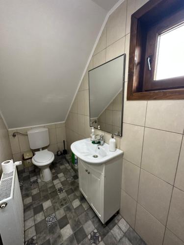 a bathroom with a sink and a toilet and a mirror at Cristian in Dejani