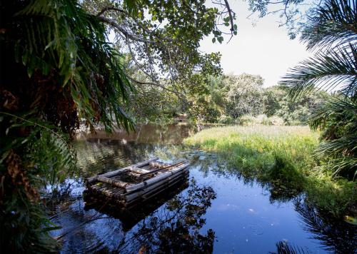 Landskap semula jadi dekat dengan lodge