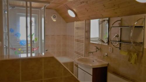 uma casa de banho com um lavatório, um chuveiro e um espelho. em Chata u hajného em Jindřichov