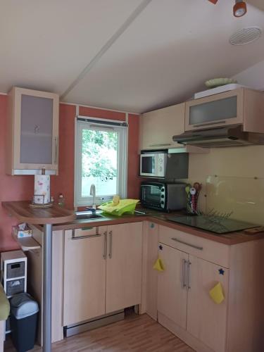 une cuisine avec un évier et un micro-ondes dans l'établissement MH 184 LA TREMBLADE, à La Tremblade