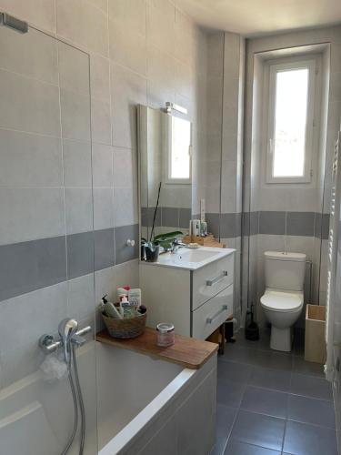 een badkamer met een wastafel, een toilet en een spiegel bij Appartement Haussmannien in Épernay