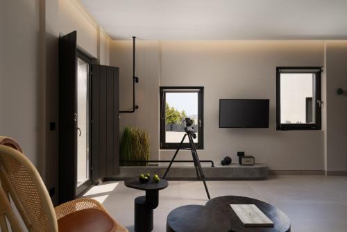 a living room with a camera on a tripod at Apikia Santorini in Pirgos